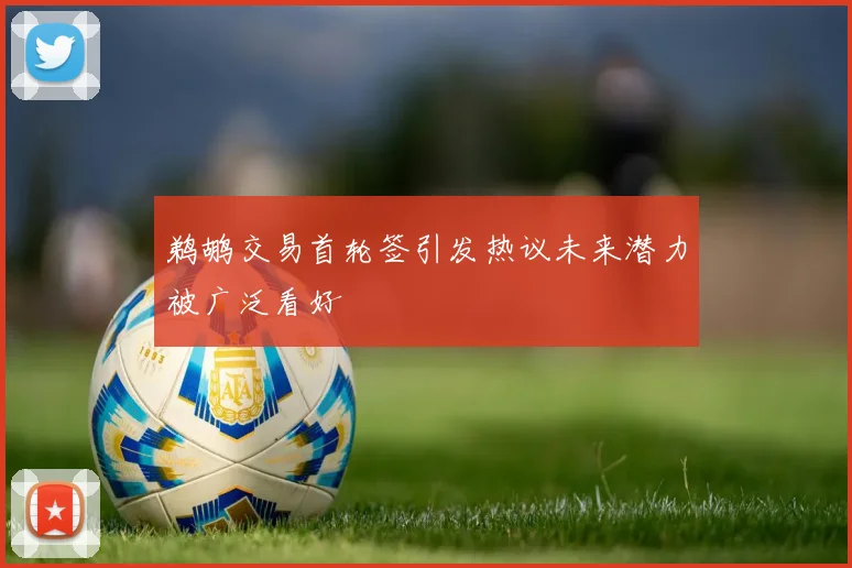 鹈鹕交易首轮签引发热议未来潜力被广泛看好